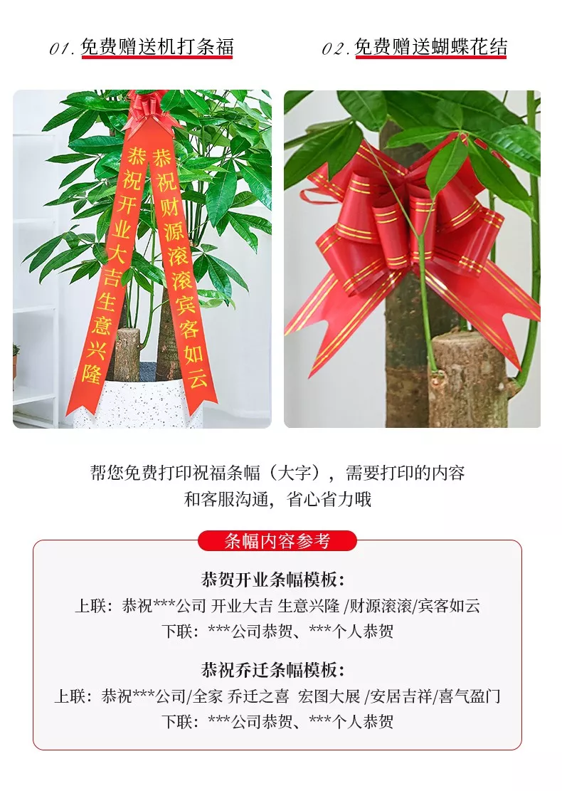 乔迁送盆景禁忌图片